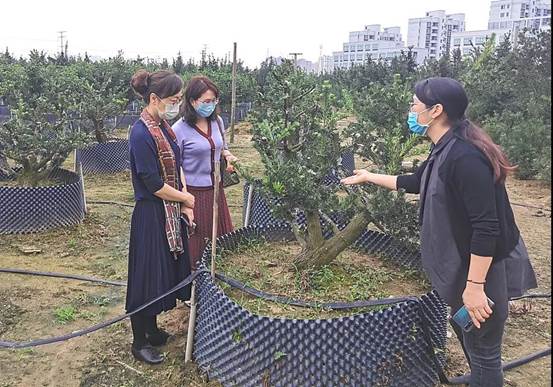 北海市妇联主席池樱带队走访北海市女企业家、女能人协会会员企业