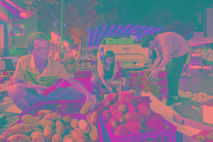 百色芒果持续热销-新华网