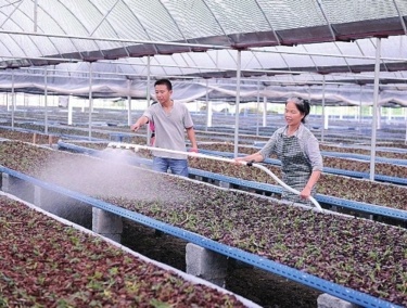 新华网-玉州区网站