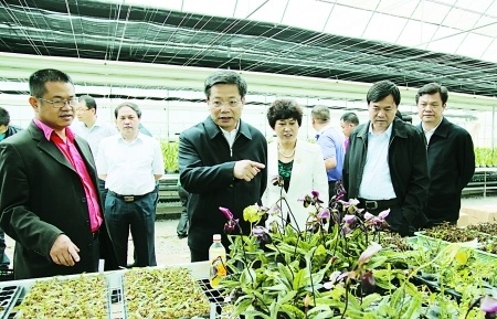 新华网-百色市网站