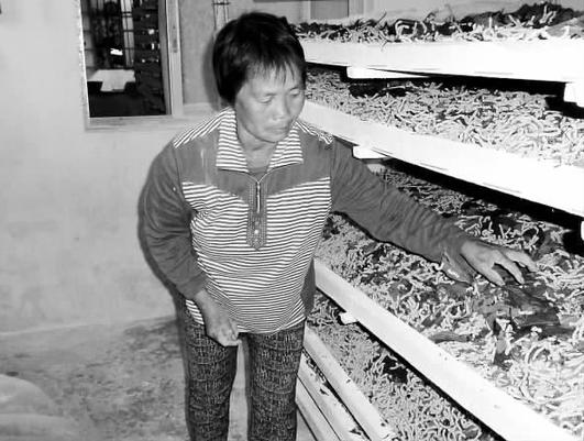 新华网-柳江县网站