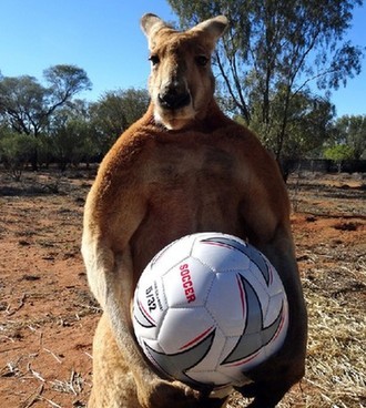 新华网广西频道