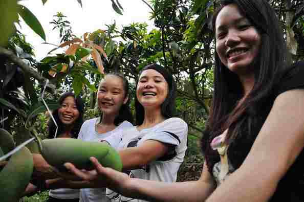 新华网-百色市网站