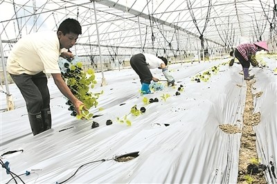 新华网-右江区网站