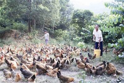 新华网-南丹县网站