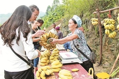 新华网-隆林县网站