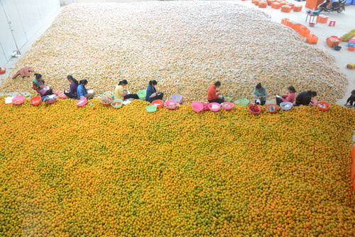 农行的理财产品购买后起息日_农产品附加值_产品附加值的计算