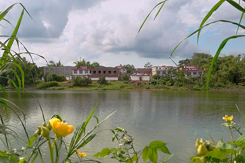 新华网-南宁江南区