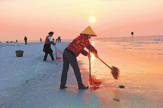 新华网-北海市网站