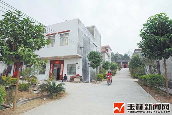 新华网-兴业县网站