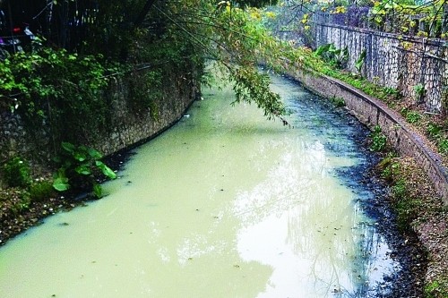 新华网-七星区网站