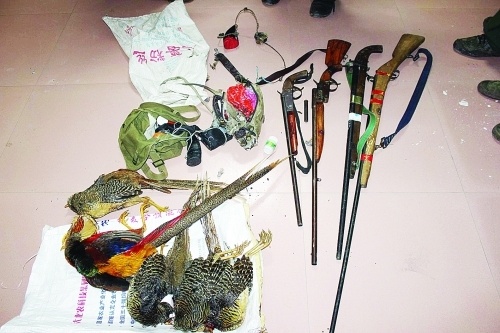 新华网-兴安县网站