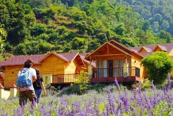 新华网广西频道