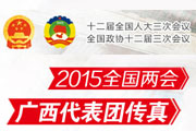 2015全国两会广西代表团传真