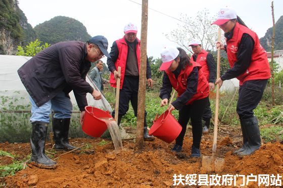 新华网-扶绥县网站