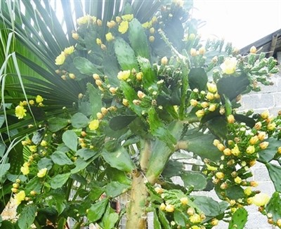 新华网-宜州市网站