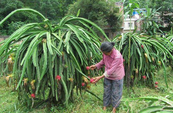 新华网-金城江区网站