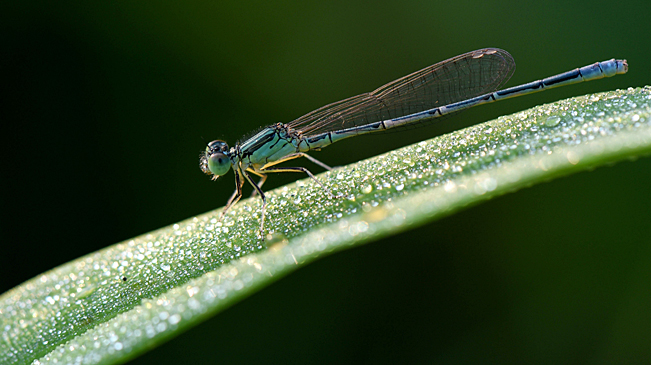 新华网广西频道--向世界传播广西 让广西走向世
