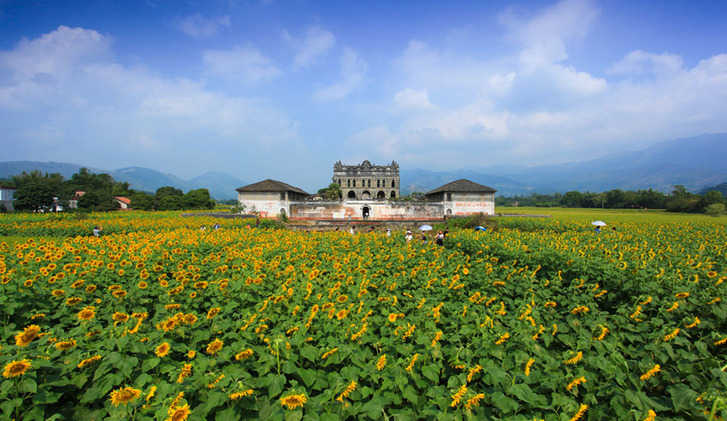 2016年武宣县"金葵花"旅游节