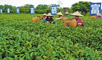 新华网广西频道
