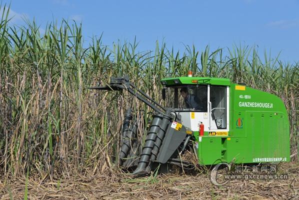 新华网-崇左市网站