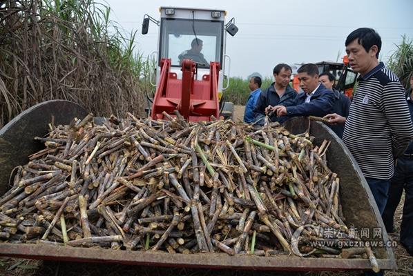 新华网-崇左市网站
