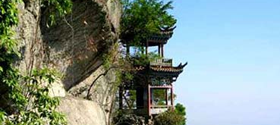概 况