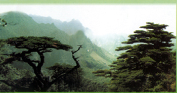 大平山自然保护区