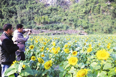 天峨县六排镇纳州村开创乡村旅游新天地