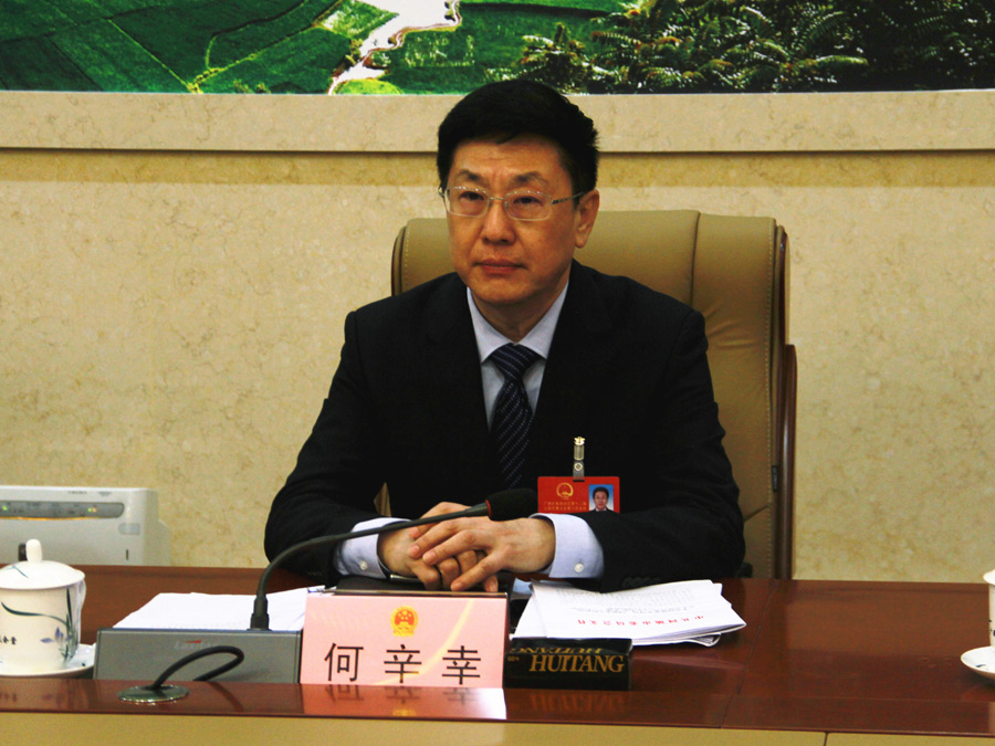 河池市代表团审议广西壮族自治区政府工作报告