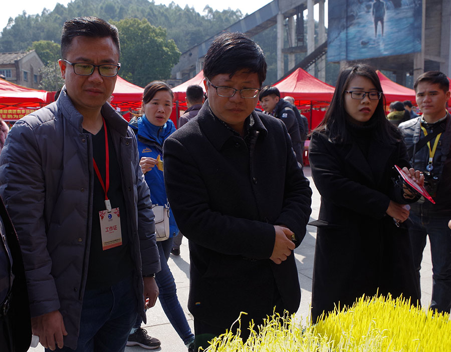 直播合山市首届年圩暨新春音乐会开幕式