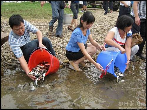 新华网-鹿寨县网站