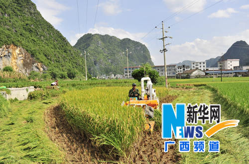 新华网-东兰县网站