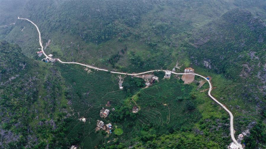 蒙山县有多少人口(3)