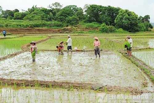 新华网-陆川县网站