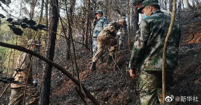 南部战区组织兵力赶赴东航坠机现场救援 多支部队随时准备支援