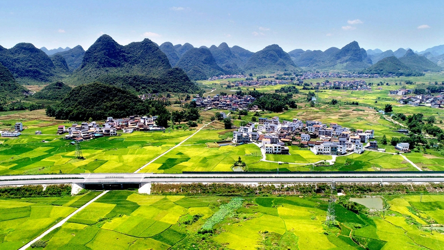 【“飛閱”中國】仫佬山鄉：山抱田園 “豐”景如畫