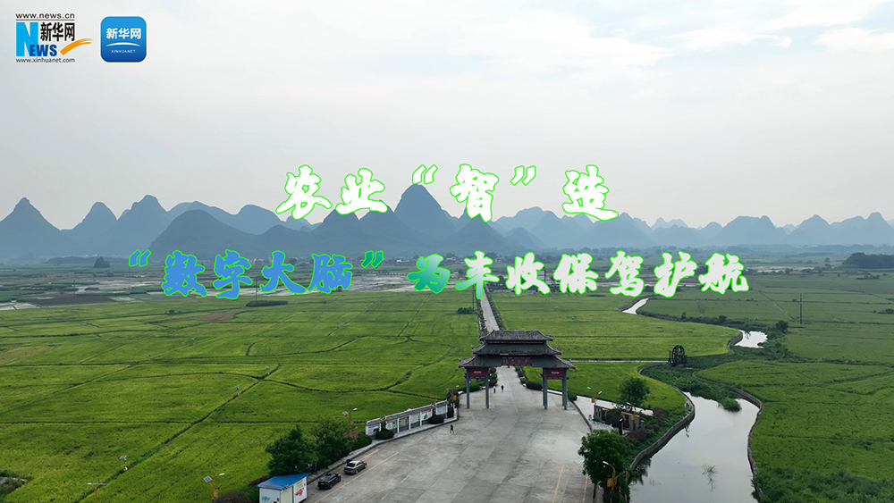 农业&ldquo;智&rdquo;造丨&ldquo;数字大脑&rdquo;为丰收保驾护航