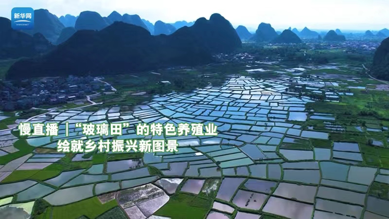 慢直播|&ldquo;玻璃田&rdquo;的特色养殖业 绘就乡村振兴新图景