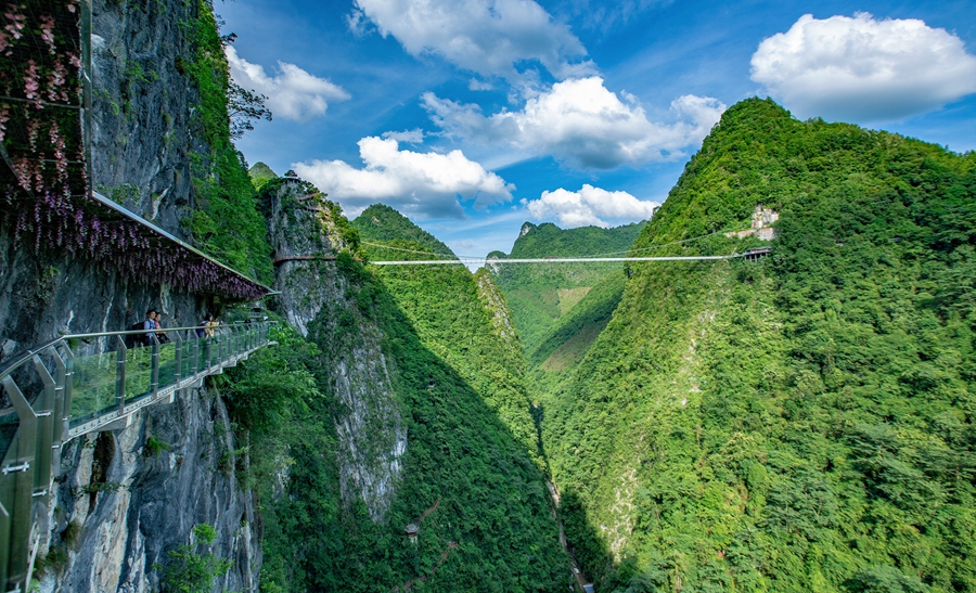 南丹：提升青山“顏值”釋放生態效益