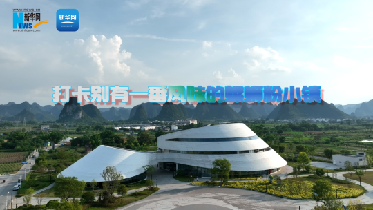 打卡别有一番风味的柳州螺蛳粉小镇