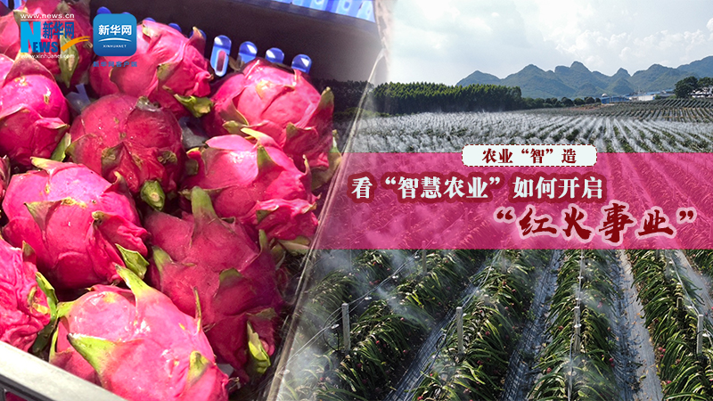 农业&ldquo;智&rdquo;造|看&ldquo;智慧农业&rdquo;如何开启&ldquo;红火事业&rdquo;