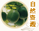 桂林概况--自然资源