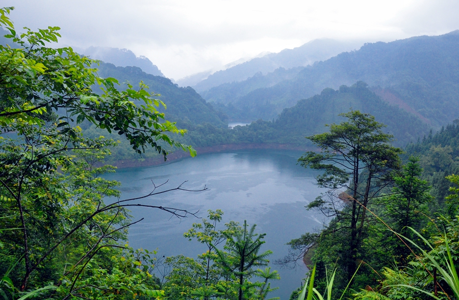 以工業化思維讓清泉出山 助力仫佬山鄉振興