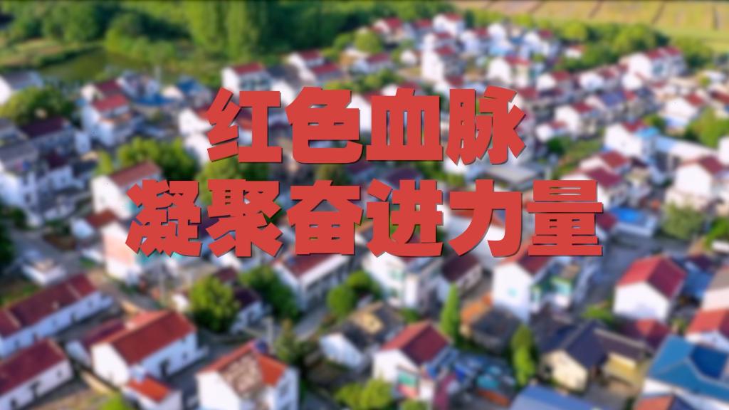 回眸2022｜紅色血脈 凝聚奮進力量