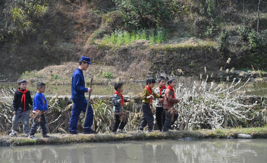 广西融水：春暖花开添新绿