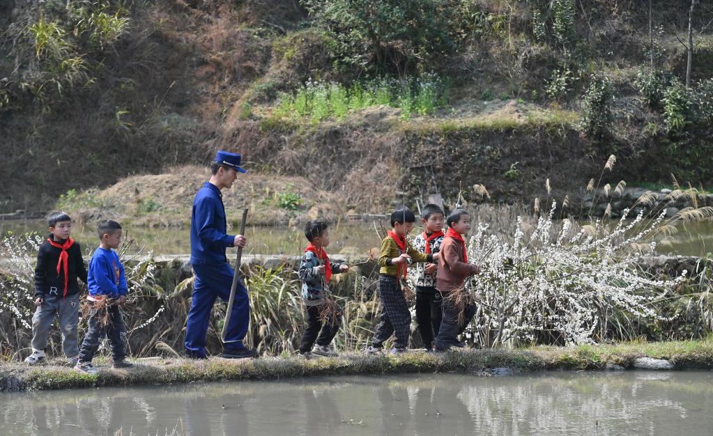 廣西融水：春暖花開添新綠