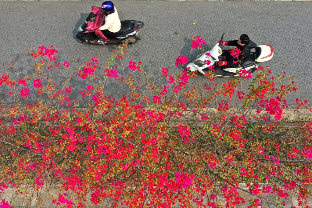 南宁：春暖花开