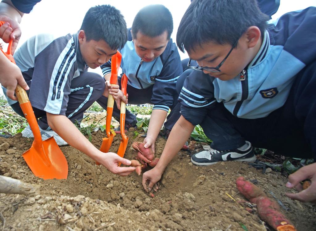 “田间课堂”学农事