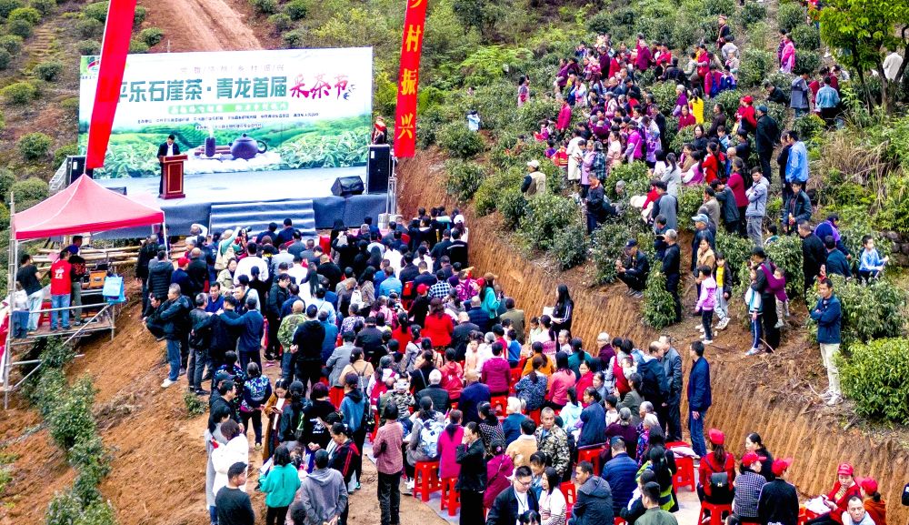 平乐县举办首届石崖茶采茶节